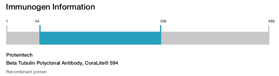 Beta Tubulin Polyclonal Antibody, CoraLite&reg; 594
