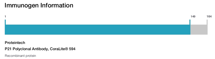 P21 Polyclonal Antibody, CoraLite&reg; 594