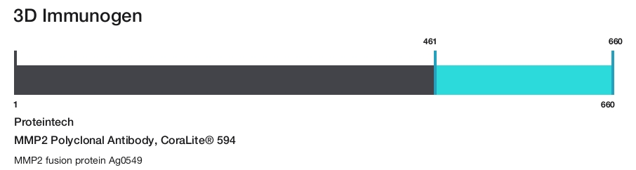MMP2 Polyclonal Antibody, CoraLite&reg; 594