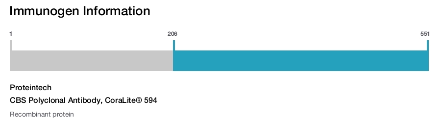 CBS Polyclonal Antibody, CoraLite&reg; 594