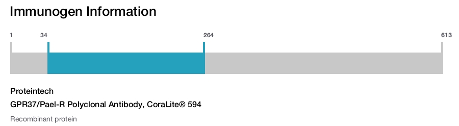 GPR37/Pael-R Polyclonal Antibody, CoraLite&reg; 594