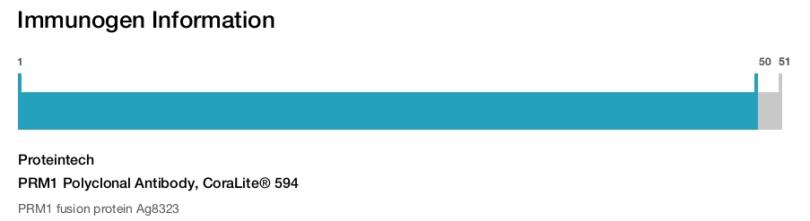 PRM1 Polyclonal Antibody, CoraLite&reg; 594
