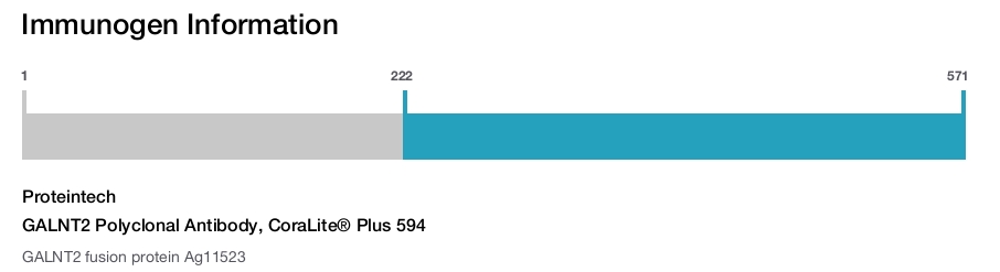 GALNT2 Polyclonal Antibody, CoraLite&reg; Plus 594