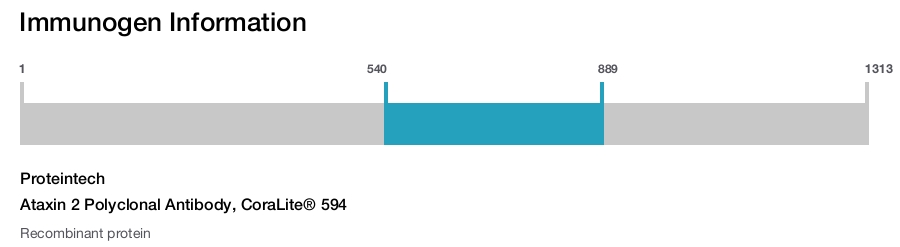 Ataxin 2 Polyclonal Antibody, CoraLite&reg; 594