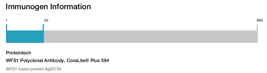 WFS1 Polyclonal Antibody, CoraLite&reg; Plus 594