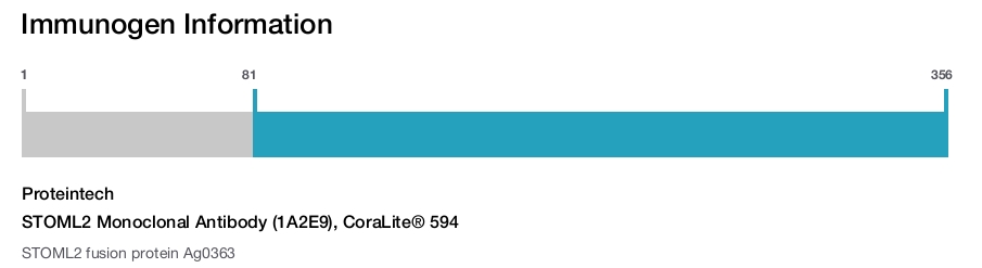 STOML2 Monoclonal Antibody (1A2E9), CoraLite&reg; 594