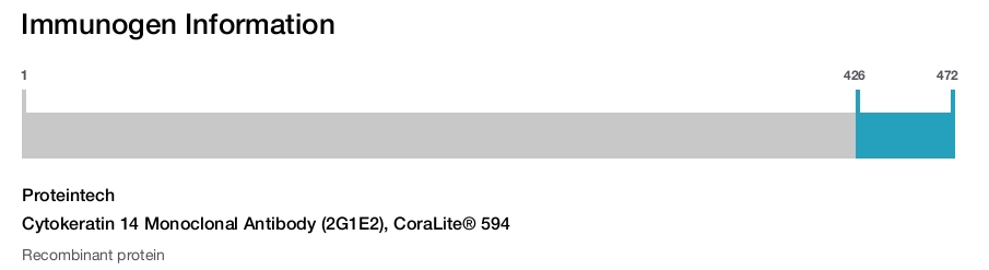Cytokeratin 14 Monoclonal Antibody (2G1E2), CoraLite&reg; 594