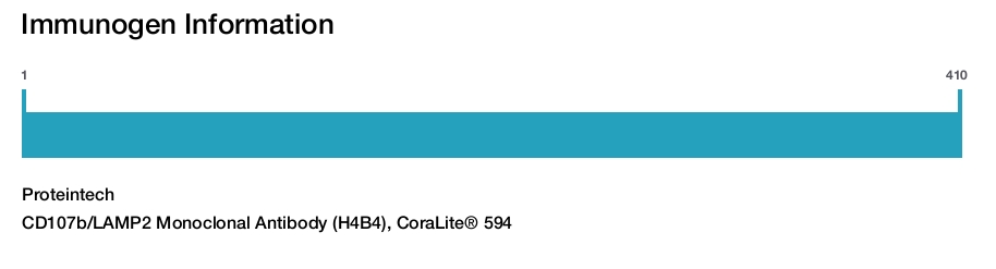 CD107b/LAMP2 Monoclonal Antibody (H4B4), CoraLite&reg; 594