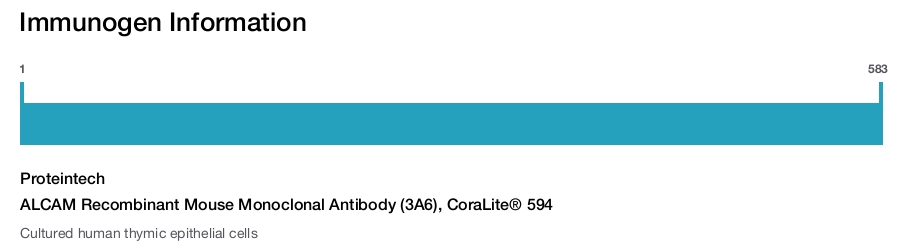ALCAM Recombinant Mouse Monoclonal Antibody (3A6), CoraLite&reg; 594