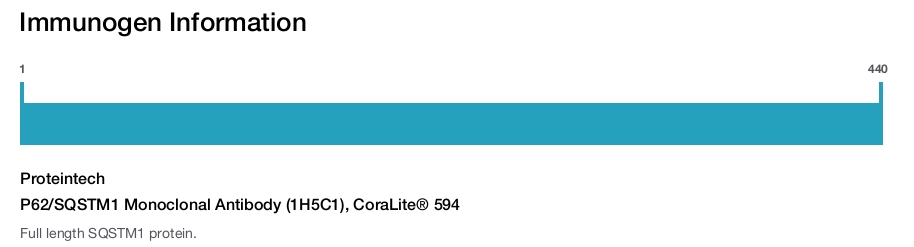 P62/SQSTM1 Monoclonal Antibody (1H5C1), CoraLite&reg; 594