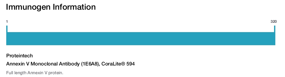 Annexin V Monoclonal Antibody (1E6A8), CoraLite&reg; 594