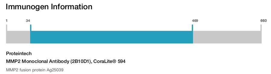 MMP2 Monoclonal Antibody (2B10D1), CoraLite&reg; 594