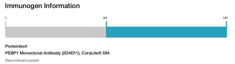 PEBP1 Monoclonal Antibody (2D4D11), CoraLite&reg; 594