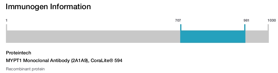 MYPT1 Monoclonal Antibody (2A1A9), CoraLite&reg; 594