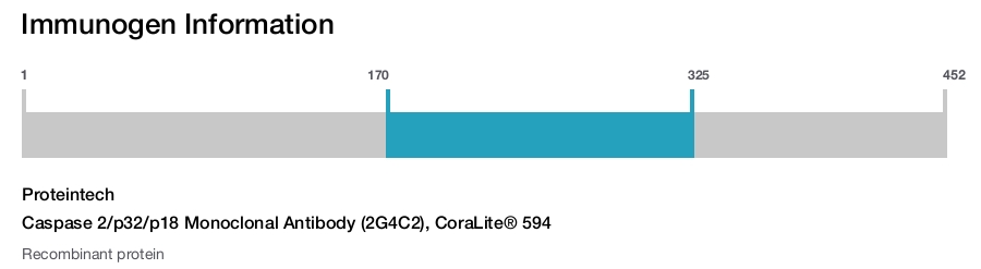Caspase 2/p32/p18 Monoclonal Antibody (2G4C2), CoraLite&reg; 594