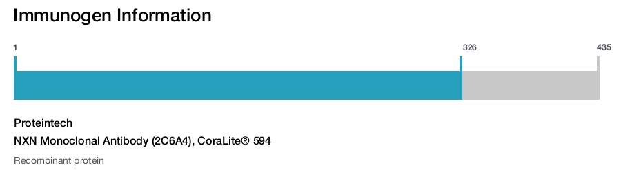 NXN Monoclonal Antibody (2C6A4), CoraLite&reg; 594
