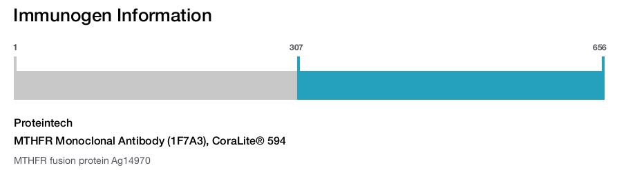 MTHFR Monoclonal Antibody (1F7A3), CoraLite&reg; 594