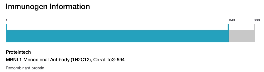 MBNL1 Monoclonal Antibody (1H2C12), CoraLite&reg; 594