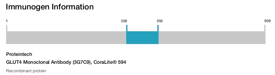 GLUT4 Monoclonal Antibody (3G7C9), CoraLite&reg; 594