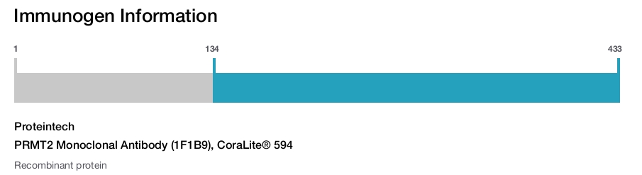 PRMT2 Monoclonal Antibody (1F1B9), CoraLite&reg; 594