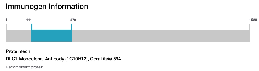 DLC1 Monoclonal Antibody (1G10H12), CoraLite&reg; 594