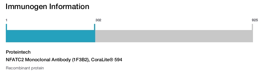 NFATC2 Monoclonal Antibody (1F3B2), CoraLite&reg; 594