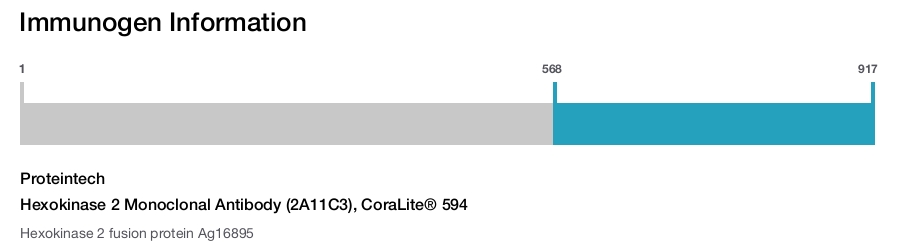 Hexokinase 2 Monoclonal Antibody (2A11C3), CoraLite&reg; 594