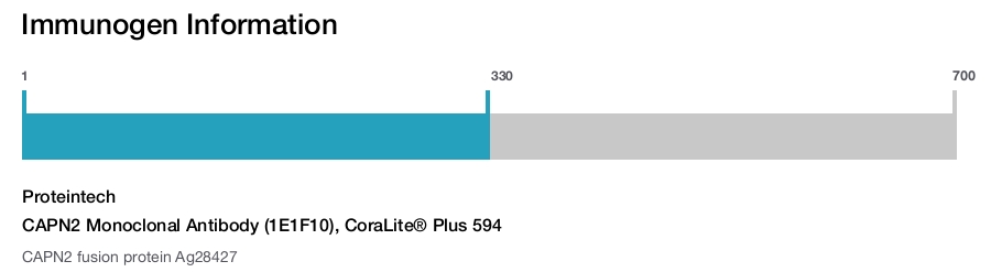 CAPN2 Monoclonal Antibody (1E1F10), CoraLite&reg; Plus 594