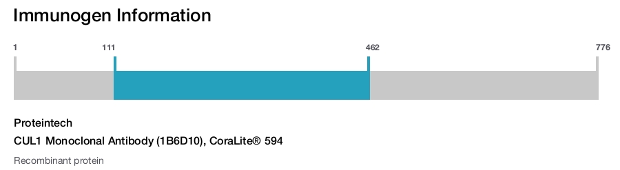 CUL1 Monoclonal Antibody (1B6D10), CoraLite&reg; 594