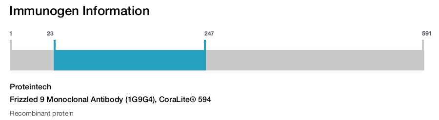 Frizzled 9 Monoclonal Antibody (1G9G4), CoraLite&reg; 594