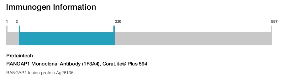RANGAP1 Monoclonal Antibody (1F3A4), CoraLite&reg; Plus 594