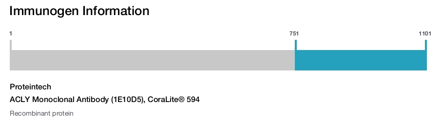 ACLY Monoclonal Antibody (1E10D5), CoraLite&reg; 594