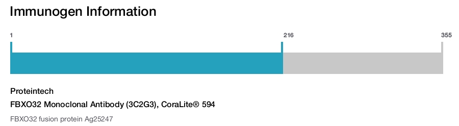FBXO32 Monoclonal Antibody (3C2G3), CoraLite&reg; 594