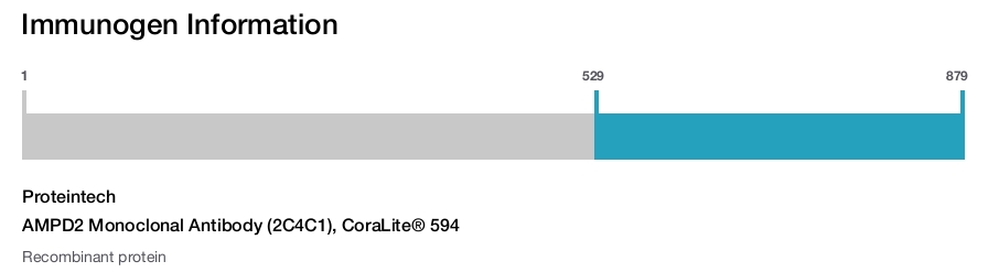 AMPD2 Monoclonal Antibody (2C4C1), CoraLite&reg; 594