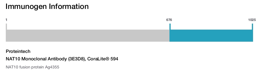 NAT10 Monoclonal Antibody (3E3D8), CoraLite&reg; 594