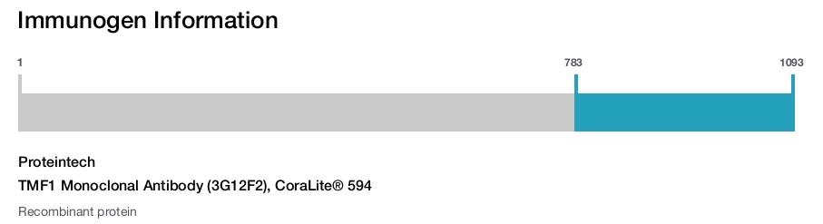 TMF1 Monoclonal Antibody (3G12F2), CoraLite&reg; 594