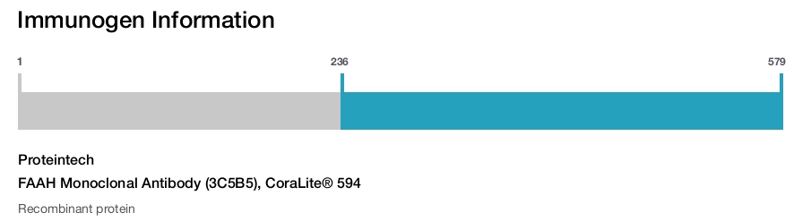 FAAH Monoclonal Antibody (3C5B5), CoraLite&reg; 594