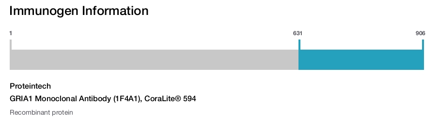 GRIA1 Monoclonal Antibody (1F4A1), CoraLite&reg; 594