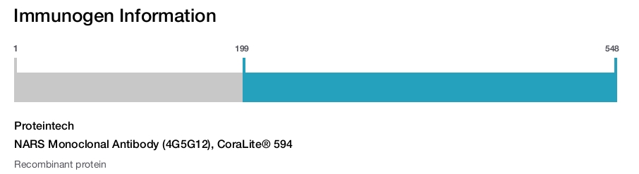 NARS Monoclonal Antibody (4G5G12), CoraLite&reg; 594