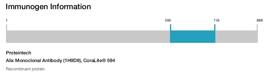 Alix Monoclonal Antibody (1H9D9), CoraLite&reg; 594