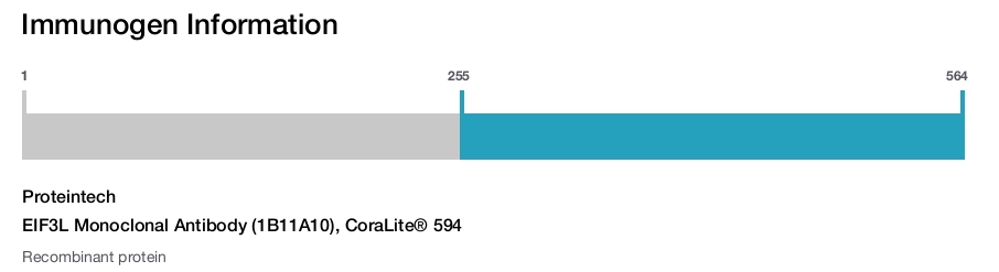EIF3L Monoclonal Antibody (1B11A10), CoraLite&reg; 594