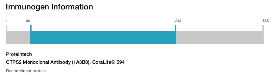 CTPS2 Monoclonal Antibody (1A3B8), CoraLite&reg; 594