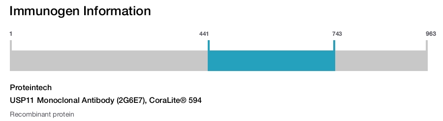 USP11 Monoclonal Antibody (2G6E7), CoraLite® 594