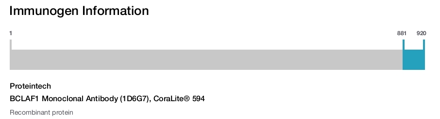 BCLAF1 Monoclonal Antibody (1D6G7), CoraLite&reg; 594