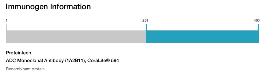 ADC Monoclonal Antibody (1A2B11), CoraLite&reg; 594