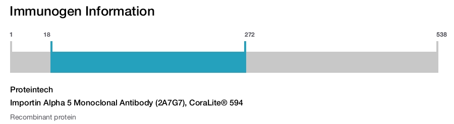 Importin Alpha 5 Monoclonal Antibody (2A7G7), CoraLite&reg; 594