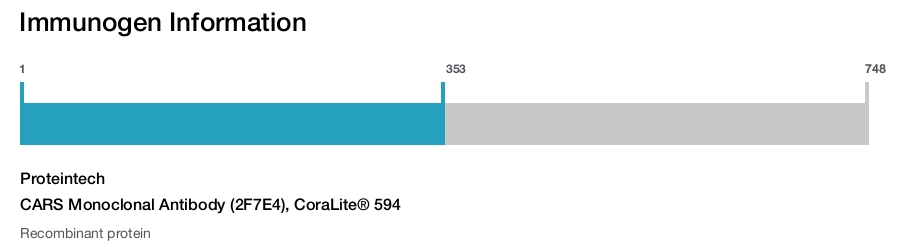 CARS Monoclonal Antibody (2F7E4), CoraLite&reg; 594