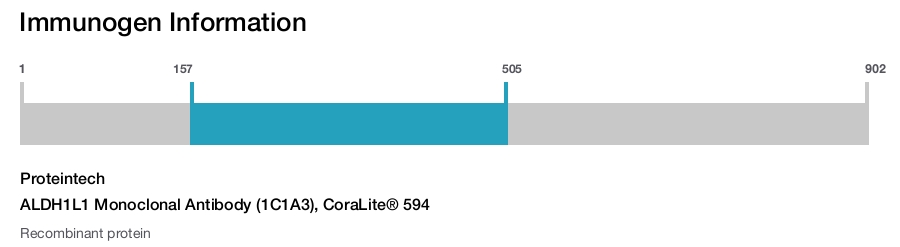 ALDH1L1 Monoclonal Antibody (1C1A3), CoraLite&reg; 594