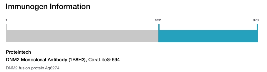 DNM2 Monoclonal Antibody (1B8H3), CoraLite&reg; 594