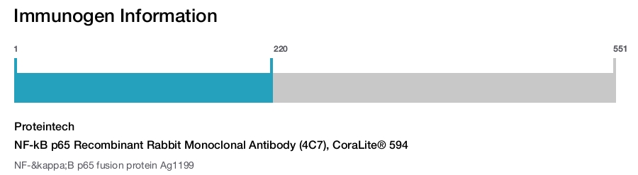 NF-kB p65 Recombinant Rabbit Monoclonal Antibody (4C7), CoraLite® 594